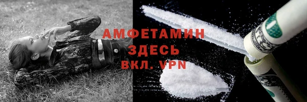 амф Вяземский