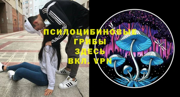 амф Вяземский