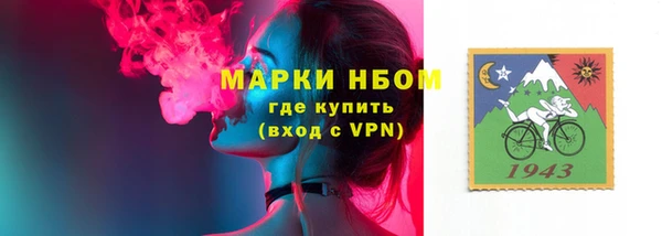 амф Вяземский