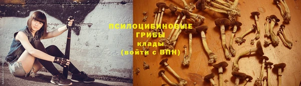 apvp Усмань