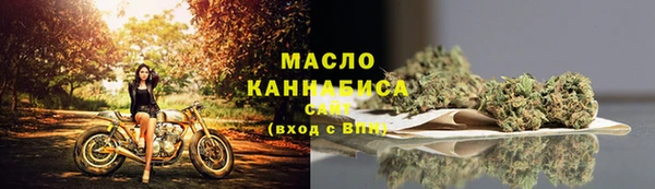 амф Вяземский