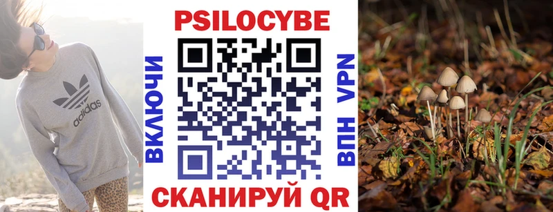 закладка Рубцовск мориарти какой сайт Галлюциногенные грибы мицелий