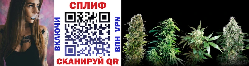 Марихуана White Widow  наркота  Рубцовск 